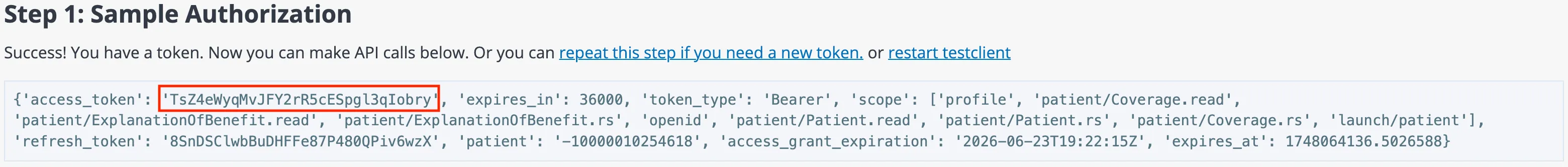 JSON object with access token highlighted